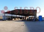 TREVI (PG) LOC. PIETRAROSSA N. 9/A LOTTO 1